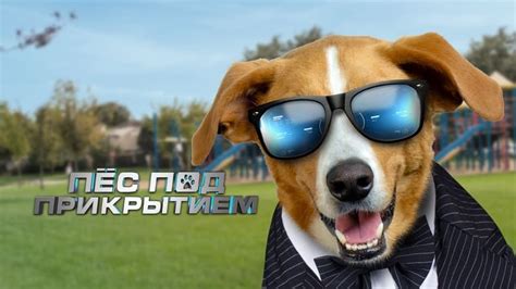  Agent Toby Barks